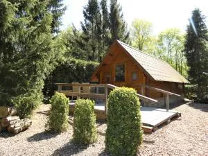 Lodge nr 14 op Bospark Trimunt - De Wilp