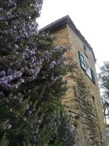 Agriturismo Il Regno del Marrone - Castagno