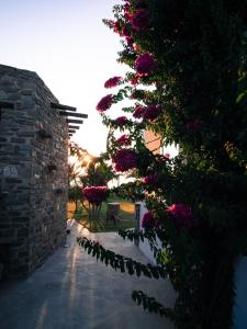 Sunset Pounda Paros Greece