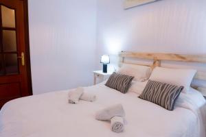 CDZ - Suarez de Salazar 1 y 2