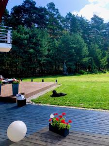 Apartament przy lesie