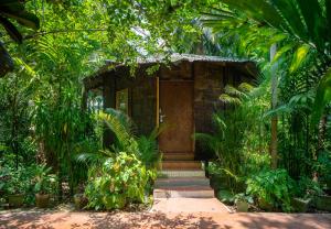 Palm Grove Eco Resort
