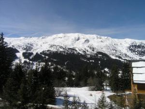 Studio Divisible 4 Pers. Près Pistes et Commerces à Méribel - FR-1-180-72