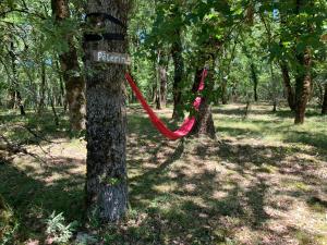 Tentes de luxe Safari tent lodges with a beautiful view at Lot Sous Toile : photos des chambres