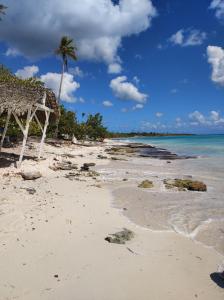 Family Dominicus Apartment - Bayahibe