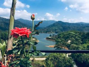 Baanhatsompaen homestay