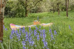 Saint Pancras Chapel