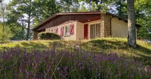 Résidence de Tourisme LE VENDAHAUT - Chalvignac