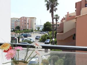 Appartements Studio a Gruissan, 2 couchages, piscine, proche plage et commerces - FR-1-229-106 : photos des chambres