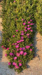 Cà dei Pòi - loft Stella Marina - 4hvězdičkové hotely ve městě Riomaggiore