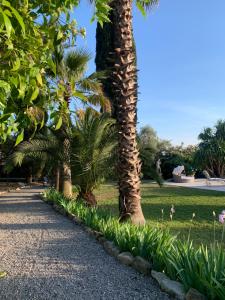 Carpe Diem paradise