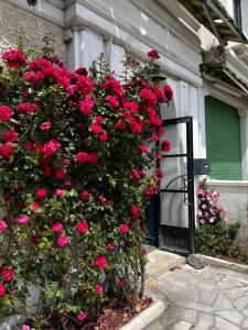 Charmant 2 pièces avec terrasse proche centre ville - Parking Gratuit à proximité