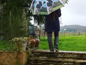 Maison à la campagne avec jardin clos - Animaux acceptés - FR-1-489-172