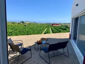 Hortas de Baixo - Poço das Figueiras