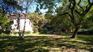 Maisons d'hotes La Caverne du Buisson : Chambre Double - Vue sur Jardin