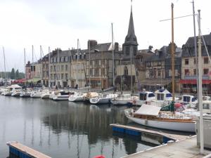 Maisons de vacances Maison de 2 chambres avec wifi a Honfleur : photos des chambres