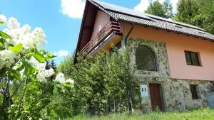 Country House & Spa - Repnik