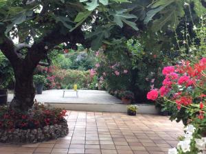 Maisons de vacances Le jardin : photos des chambres