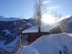 Chalet 3 pièces, 6 pers, 2 km des pistes, plein sud, internet - FR-1-342-158