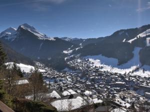 Appartement lumineux avec vue, pour 4 personnes à Morzine - FR-1-524-75