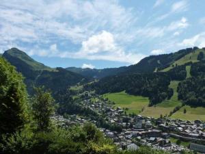 Appartement lumineux avec vue, pour 4 personnes à Morzine - FR-1-524-75