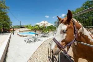 Holiday home with swimming pool, wellness, extra apartment and horses - Umljanović