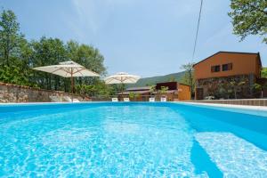 Holiday home with swimming pool, wellness, horses and donkeys