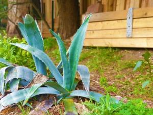 Bel appartement proche plage, climatisé, parking sécurisé - FR-1-226-427