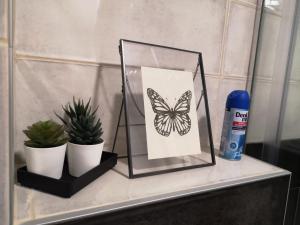 B3 Sneznik-Modern apartment