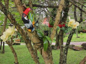 Refúgio da família - serra & lago