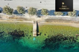 Sea Pearl 1-Ambience