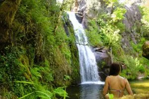 Casa Boletus - Pereira
