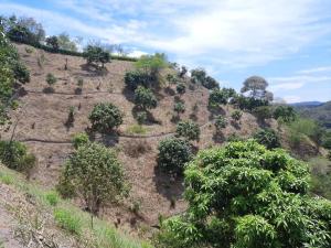 Finca de descanso SaraMari