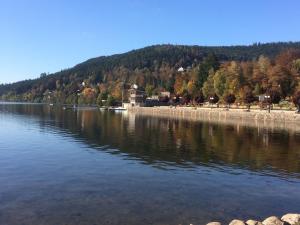 Gîte confortable à Gérardmer avec jardin, ski, randonnées et activités nautiques - FR-1-589-128