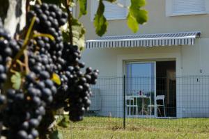 Appart'hotels La Residence Les Grands Vignobles : photos des chambres