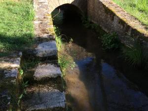 Ancien moulin rénové, nature et charme, Dordogne - FR-1-616-32