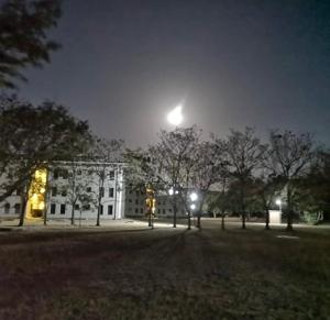 Apartamento The Garden