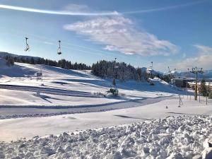 Appartements Studio Chamrousse, 1 piece, 4 personnes - FR-1-340-235 : photos des chambres