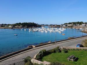 Appartements Appartement Perros-Guirec, 2 pieces, 4 personnes - FR-1-368-302 : photos des chambres