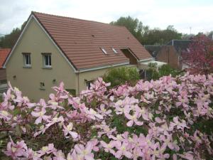 B&B / Chambres d'hotes Au Chardon Bleu : Suite - Vue sur Jardin