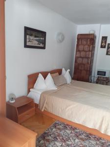 Pensiunea Floare de Colt