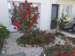 Appartements Rez-de-Jardin T3/4 avec Jardin, Parking Prive - Proche Plage et Centre-ville - FR-1-92-910 : photos des chambres