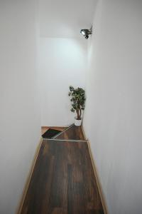 Casa Luminita