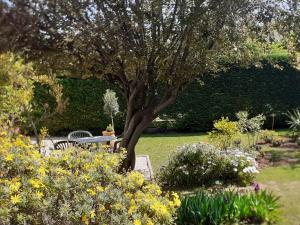 Appartements appartement rez de villa proche port et plages de Sanary : photos des chambres