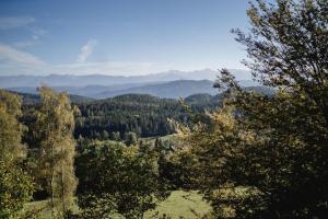 Almchalet bei Pörtschach