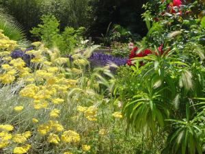 Studio "LA MEDINA", PISCINE jusquau 15 septembre, JARDIN BOTANIQUE, COMMERCES &MER
