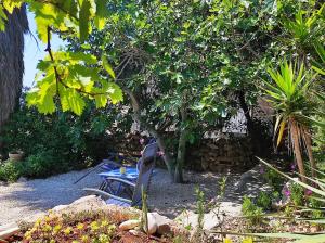 Getaway house Gundula