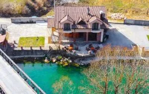 Vila Sana - Podrašnica