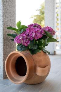 Coro e Bentu Rooms & View img56