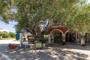 Dopias Garden Studios